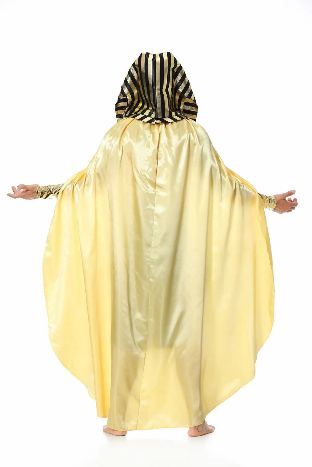 Men's Vintage Mythic Noble Halloween Costume — Pharaoh Robe & Cape