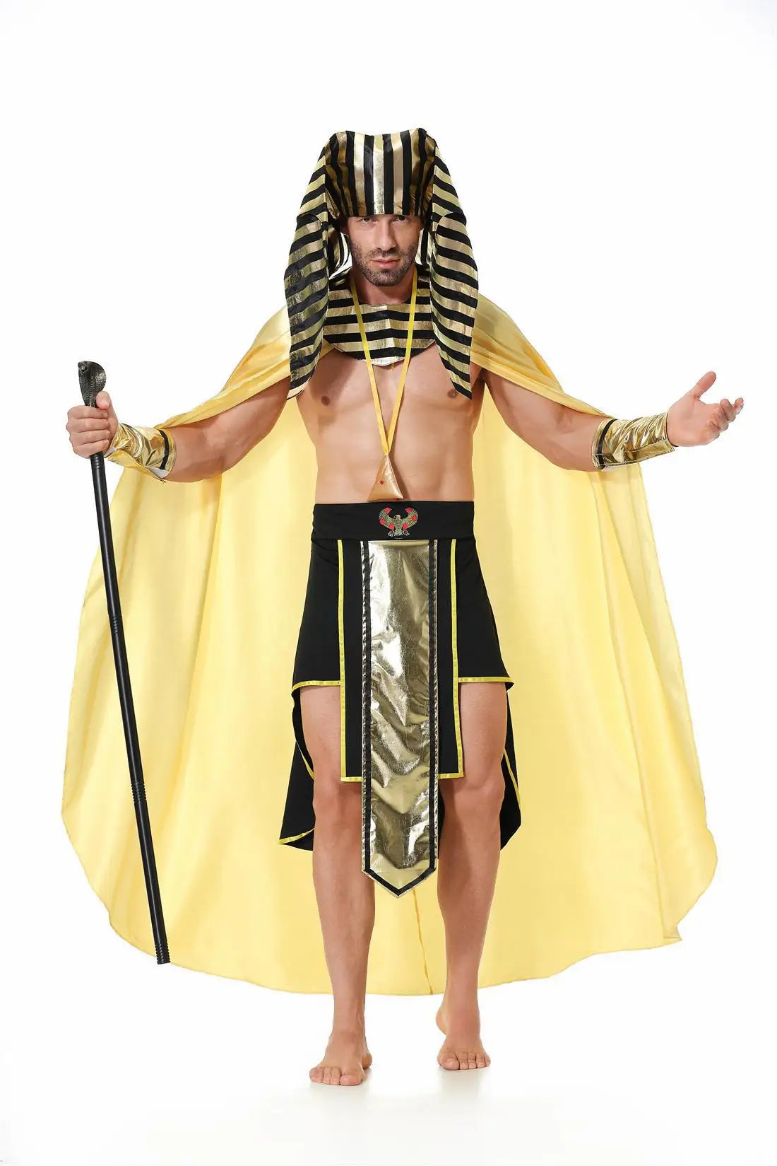 Men's Vintage Mythic Noble Halloween Costume — Pharaoh Robe & Cape